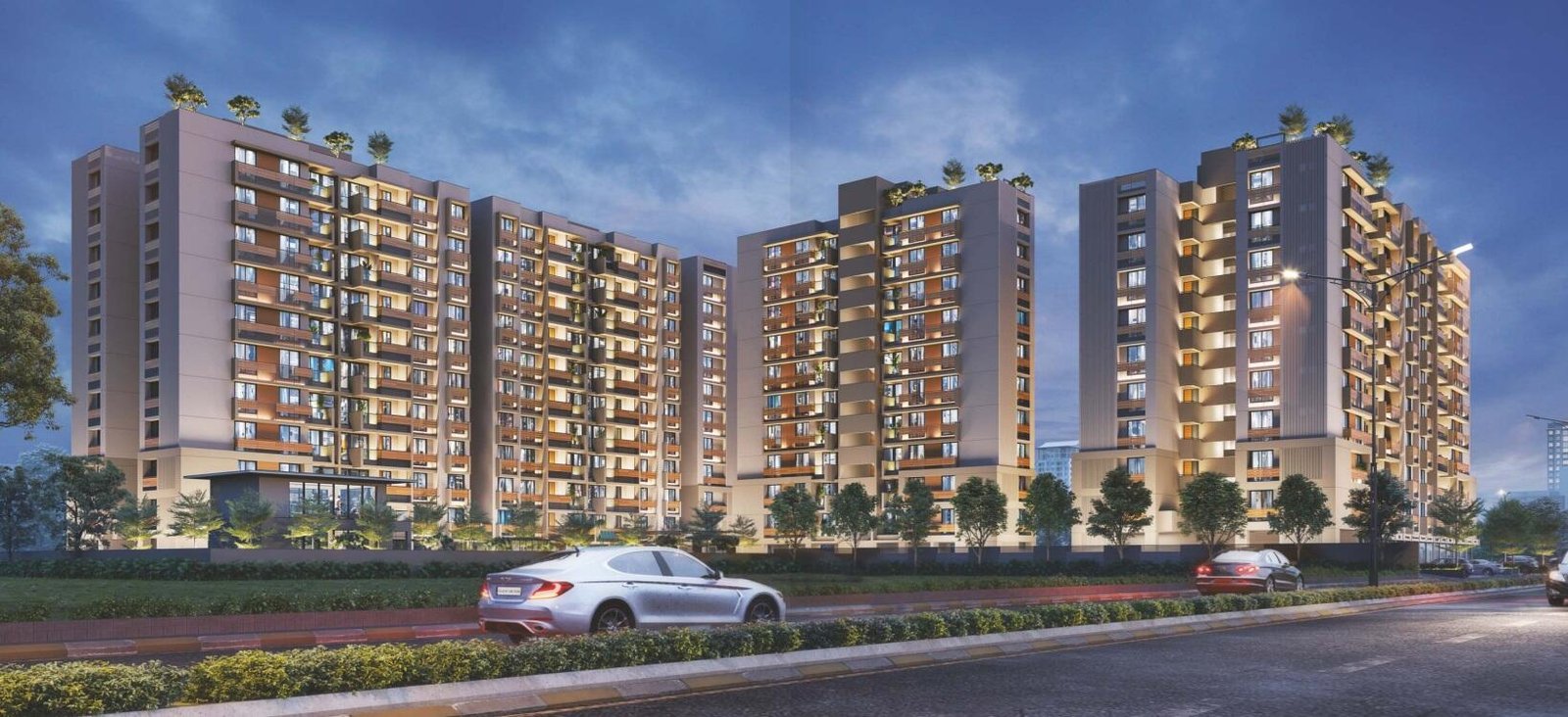 Shyam Zircon Amora